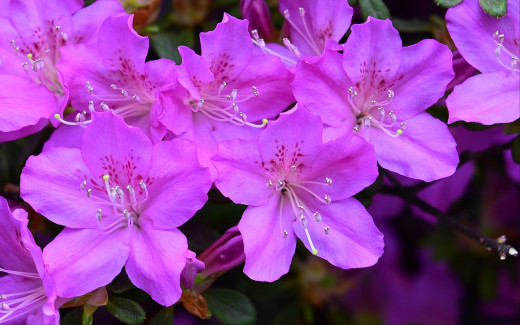 1755553 (a): :2560x1600